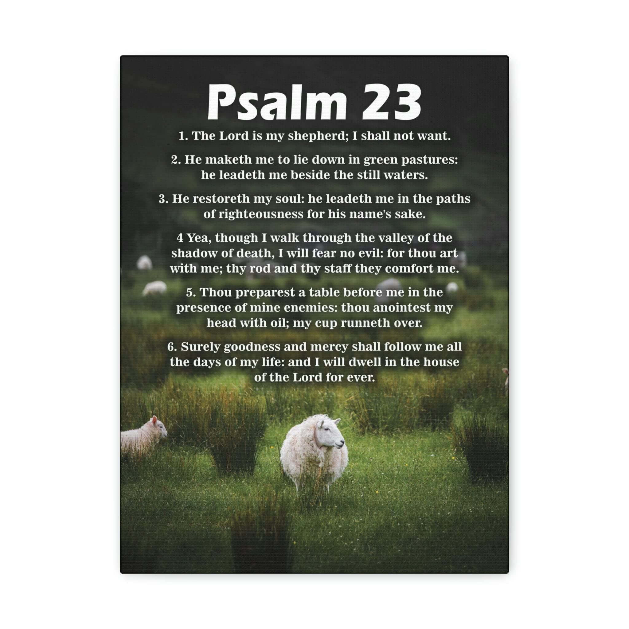 Psalm 23 Bible Verse Canvas Wall Art - Christian Scripture Home Decor - Perfect for Church, Bedroom & Living Room Inspiration