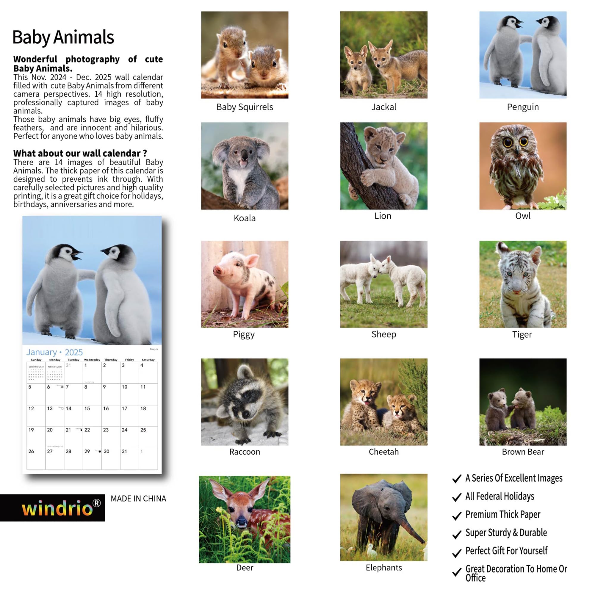 2025-2026 Wall Calendar with Adorable Baby Animals | 12