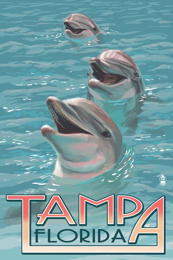 Lantern Press Tampa Florida Dolphins 16x24 Wrapped Canvas Wall Art - Coastal Home Decor for Living Room, Bedroom & Office