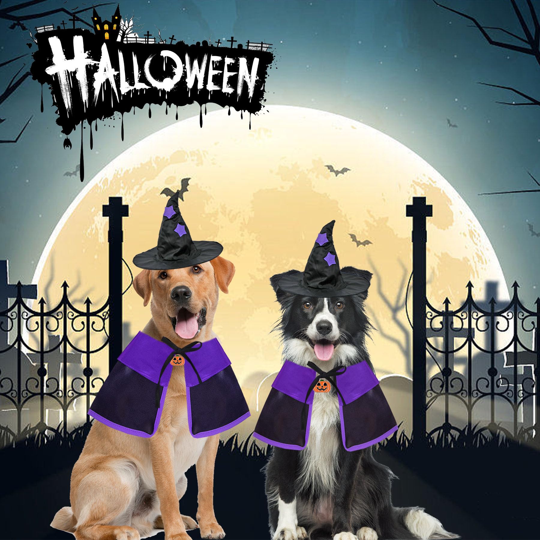 Halloween Dog Costume - Witch Cloak Cape with Wizard Hat for Small, Medium & Large Dogs | Pet Halloween Outfit for Parties & Trick-or-Treating