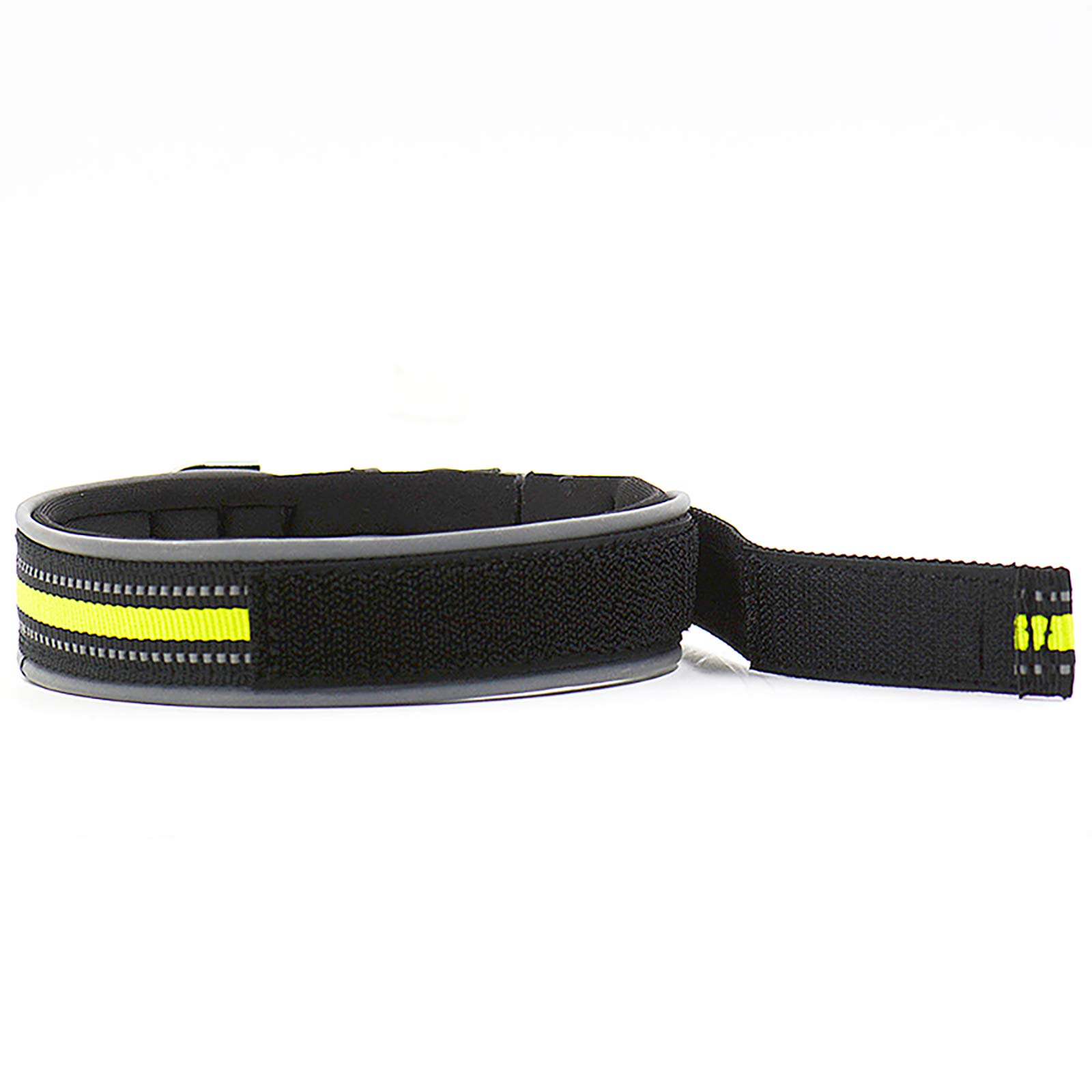 Reflective Dog Collar for Large & Small Breeds - Night Safety
