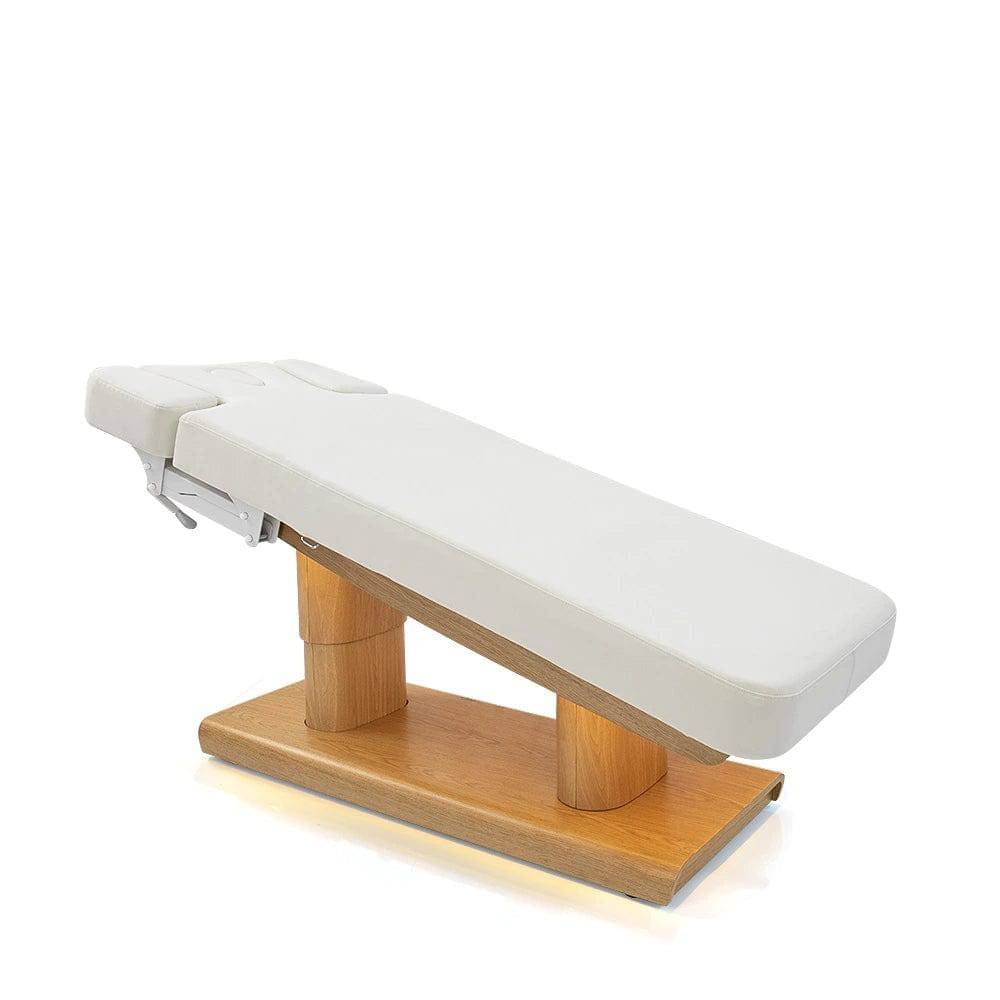 Electric Spa and Massage Bed - Professional Relaxation & Therapy for Home, Salon or Spa - Perfect for Pain Relief, Stress Reduction and Full Body Massage