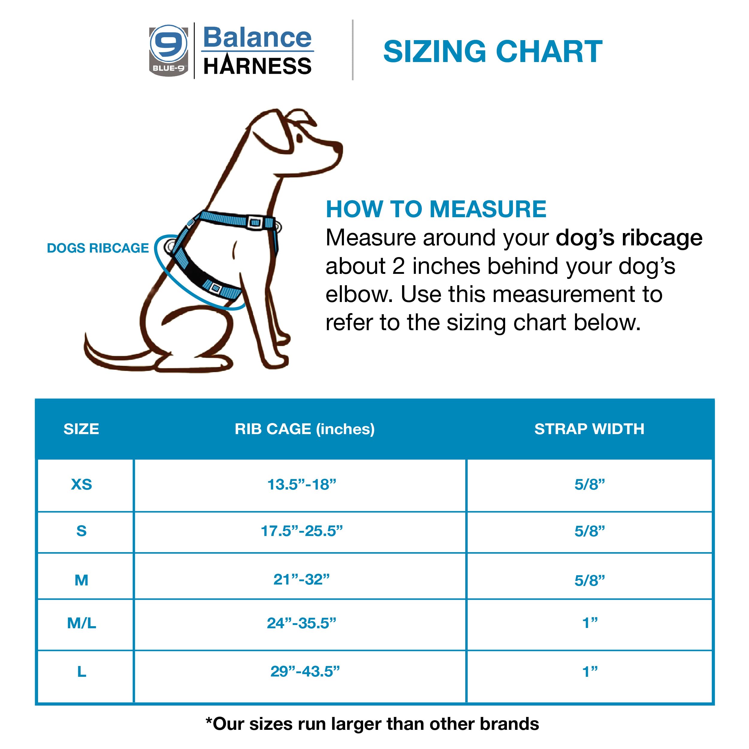 Blue-9 Reflective Buckle-Neck Balance Harness - Adjustable No-Pull Dog Harness with 3M Reflective Stitching for Training & Obedience - Medium Size Blue - Made in USA - Perfect for Walking, Running & Nighttime Safety