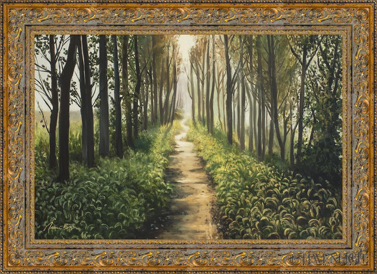 Forest Walkway - Beautiful Wooden Pathway for Gardens, Parks & Trails | Perfect for Outdoor Decor & Nature Walks
