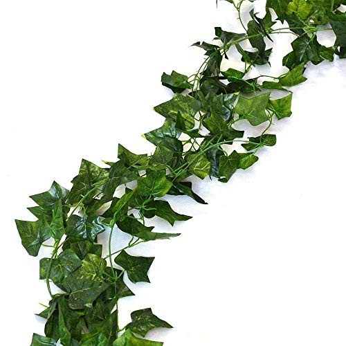 Ivy Leaves