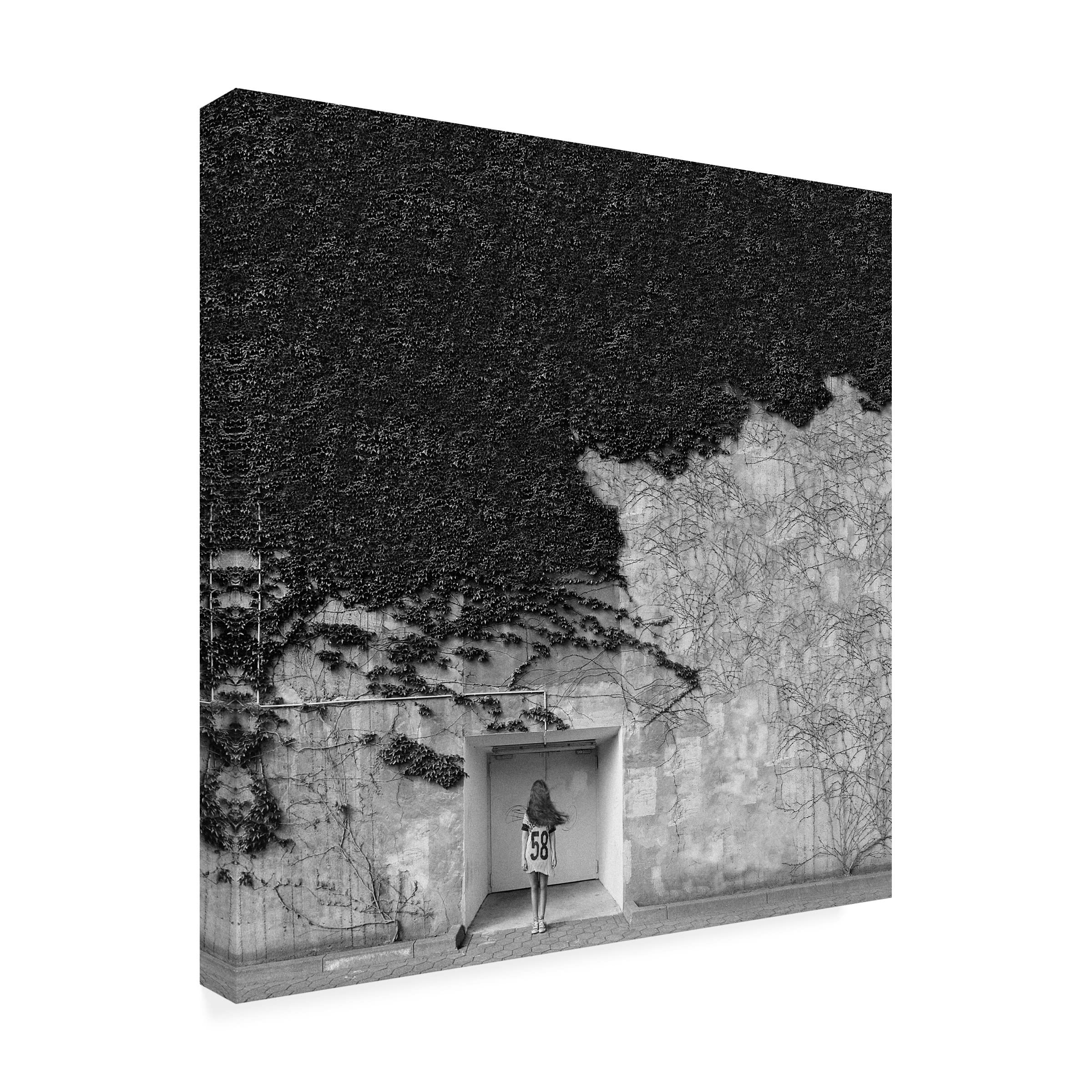 Trademark Fine Art 'Transience' Canvas Wall Art Print by Marco Beck - Modern Abstract Painting for Living Room, Bedroom & Office Decor