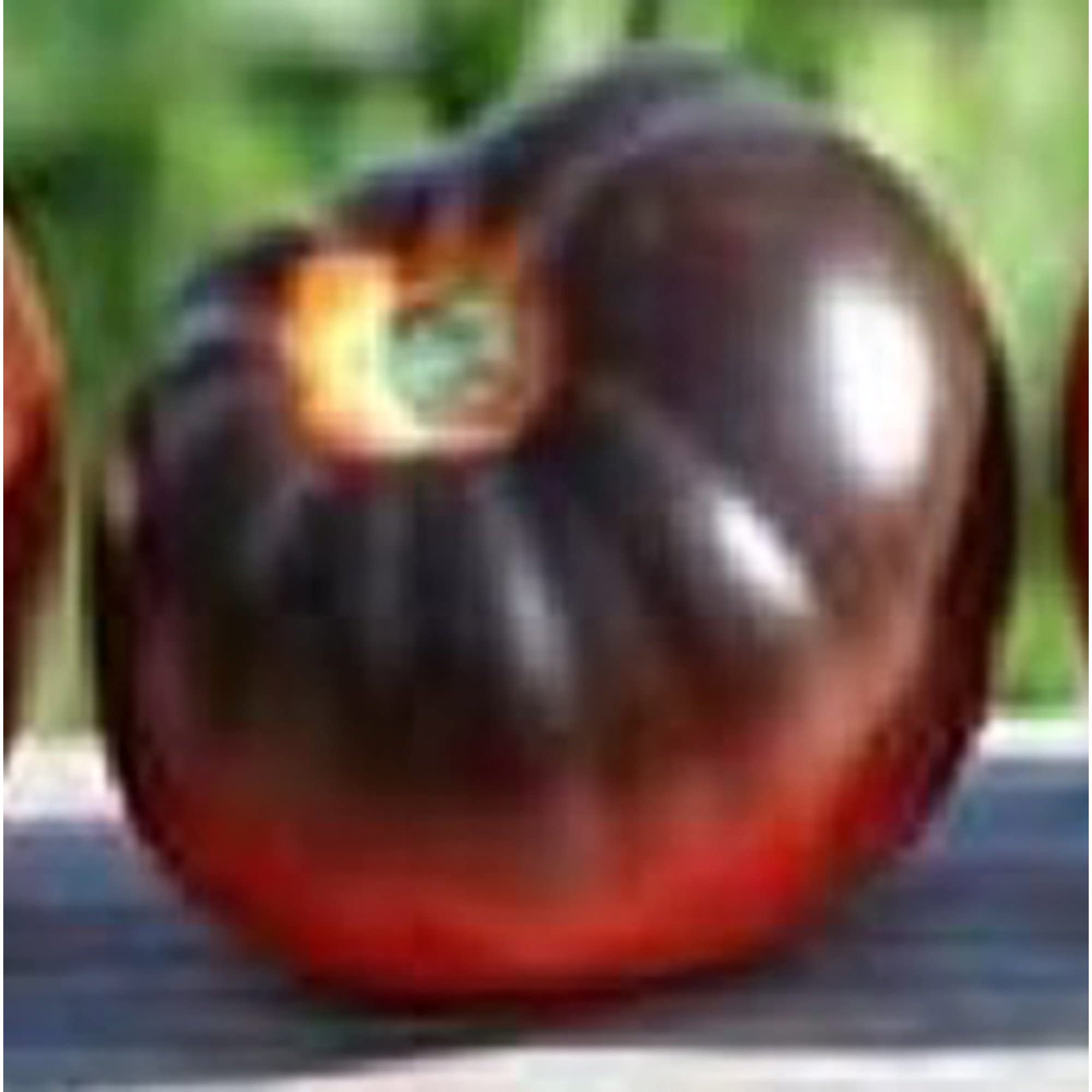 Blue Streaks Tomato Seeds (20+ Seeds) | Non-GMO Heirloom Vegetable Seeds for Planting | Home Garden, Greenhouse, or Container Growing | Perfect for Fresh Salads, Sauces, and Canning