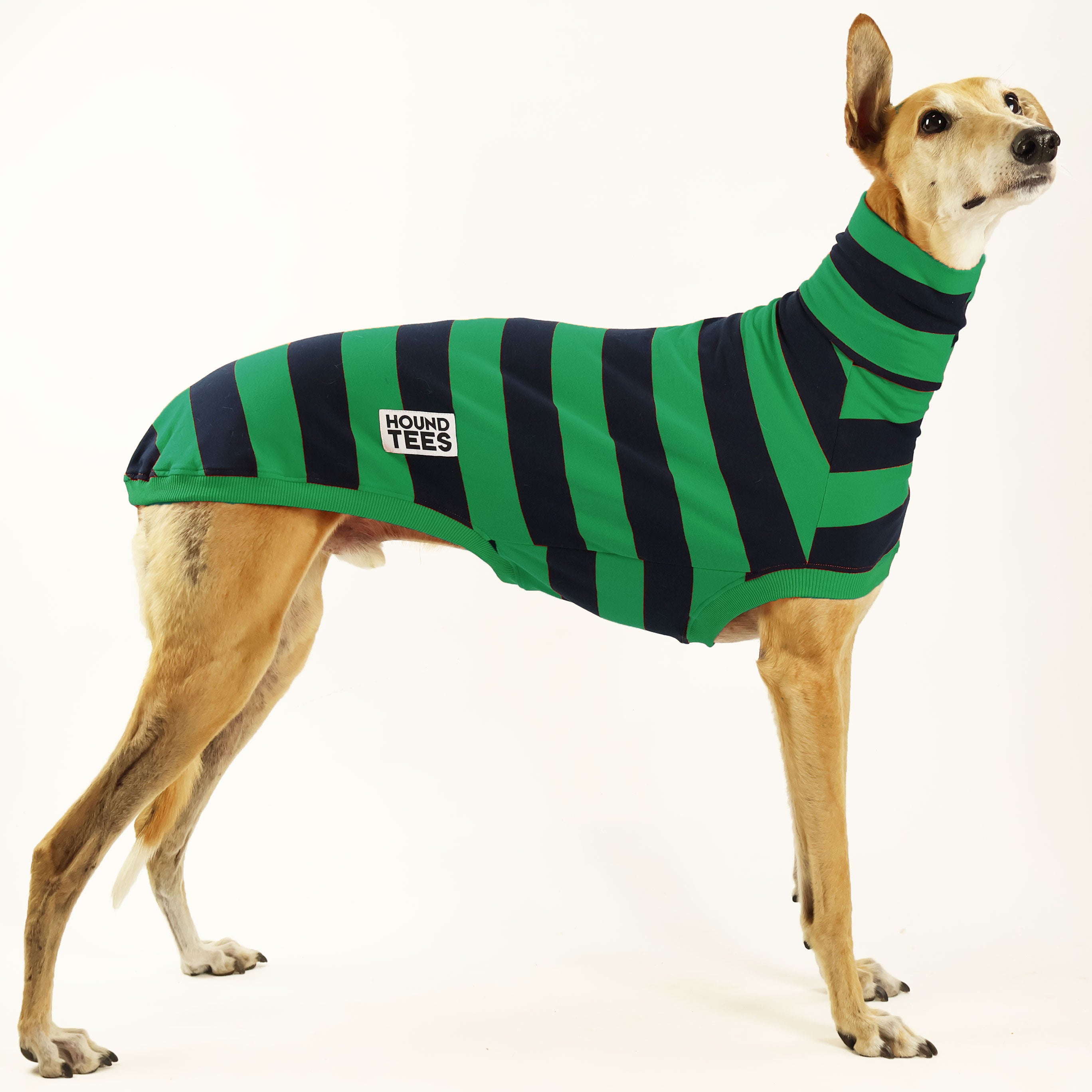 Green Rugby Greyhound Sleeveless Sweater for Men - Vintage Athletic Pullover - Perfect for Rugby Games, Casual Wear & Sports Events