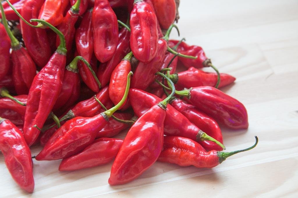 Red Savina Habanero Pepper Seeds (Capsicum Chinense) - 10 Pack of Super Hot Chili Peppers for Cooking, Sauces, and Spicy Food Lovers