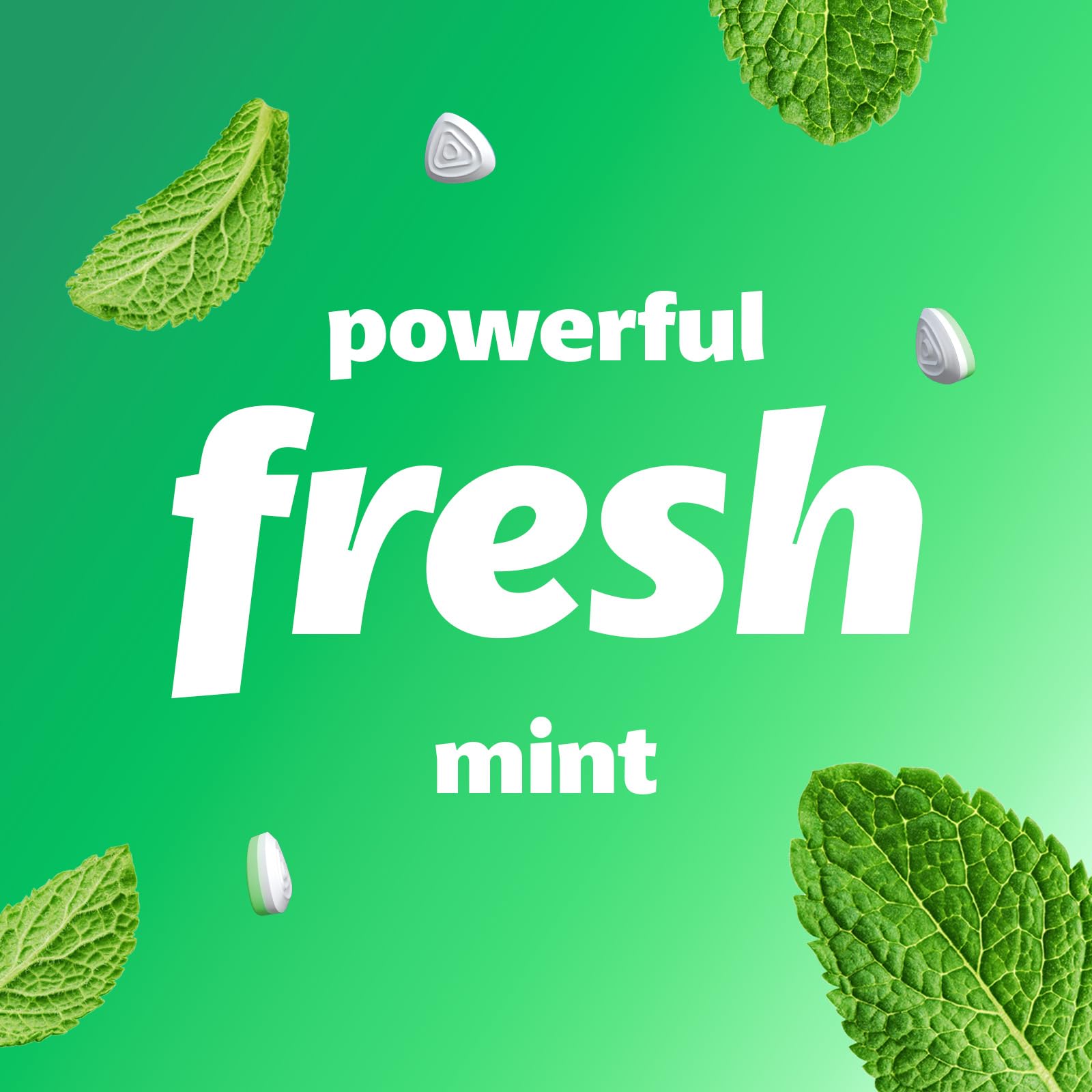 Smint Sugar Free Spearmint Mints for Fresh Breath - 12 Pack of 50 XXL Tins - Vegan, Keto Friendly - Perfect for Office, Travel & After Meals