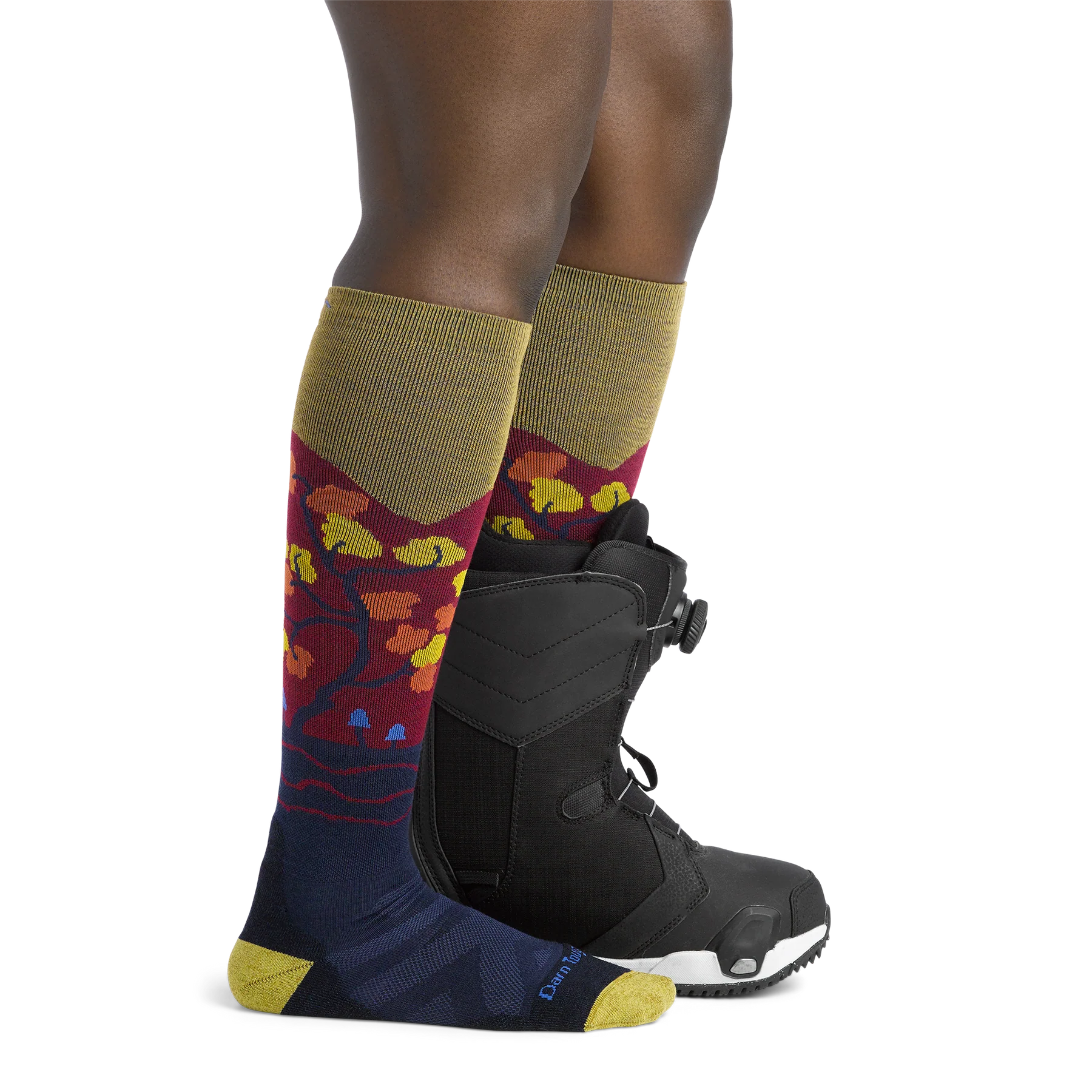 Darn Tough Women's Enchanted Over The Calf Midweight Ski & Snowboard Socks - Warm & Cushioned for Winter Sports & Outdoor Activities