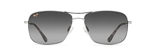 Silver/Neutral Grey Polarized