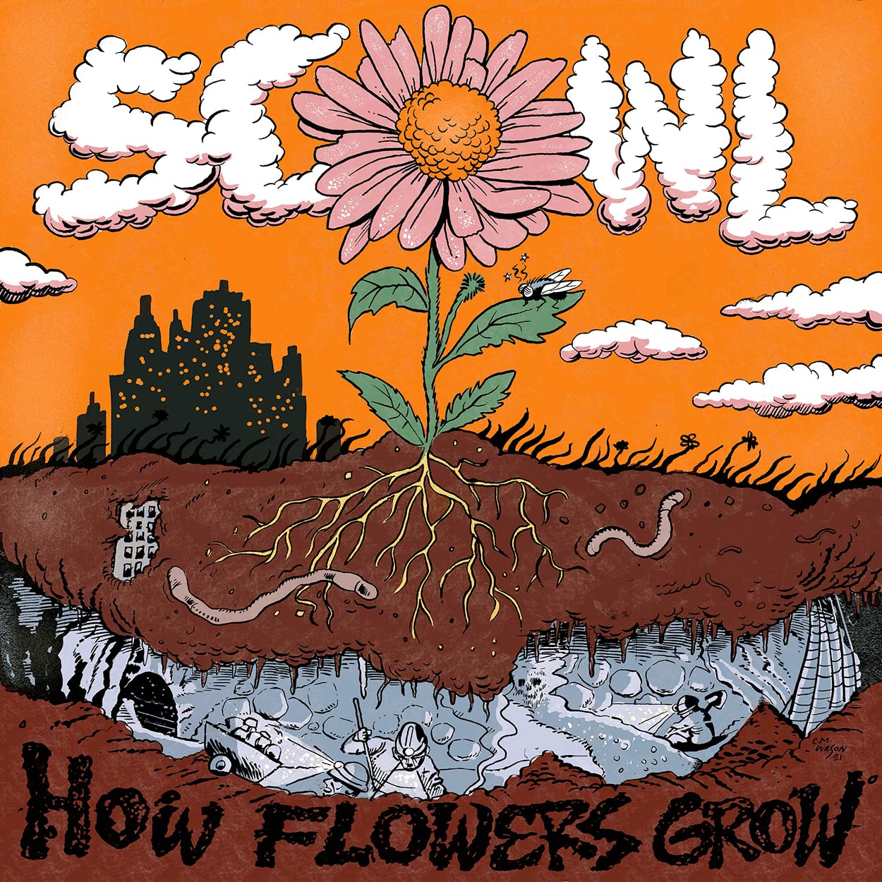 How Flowers Grow - Complete Guide to Flower Growth & Care for Gardening Enthusiasts | Perfect for Home Gardens, Landscaping & DIY Floral Arrangements