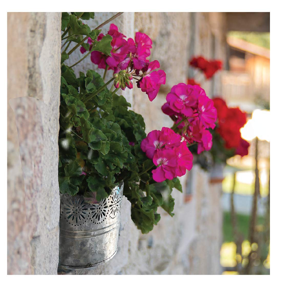 Lily's Home Indoor Outdoor Wall Mounted Planter - Galvanized Metal Flower Pot for Succulents, Cacti, Herbs & Faux Plants (Plants Not Included) - Perfect for Patio, Garden, Balcony & Home Decor