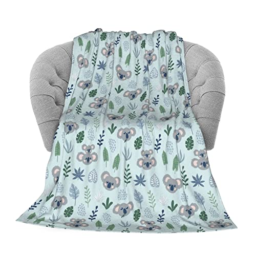Koala Light Blue