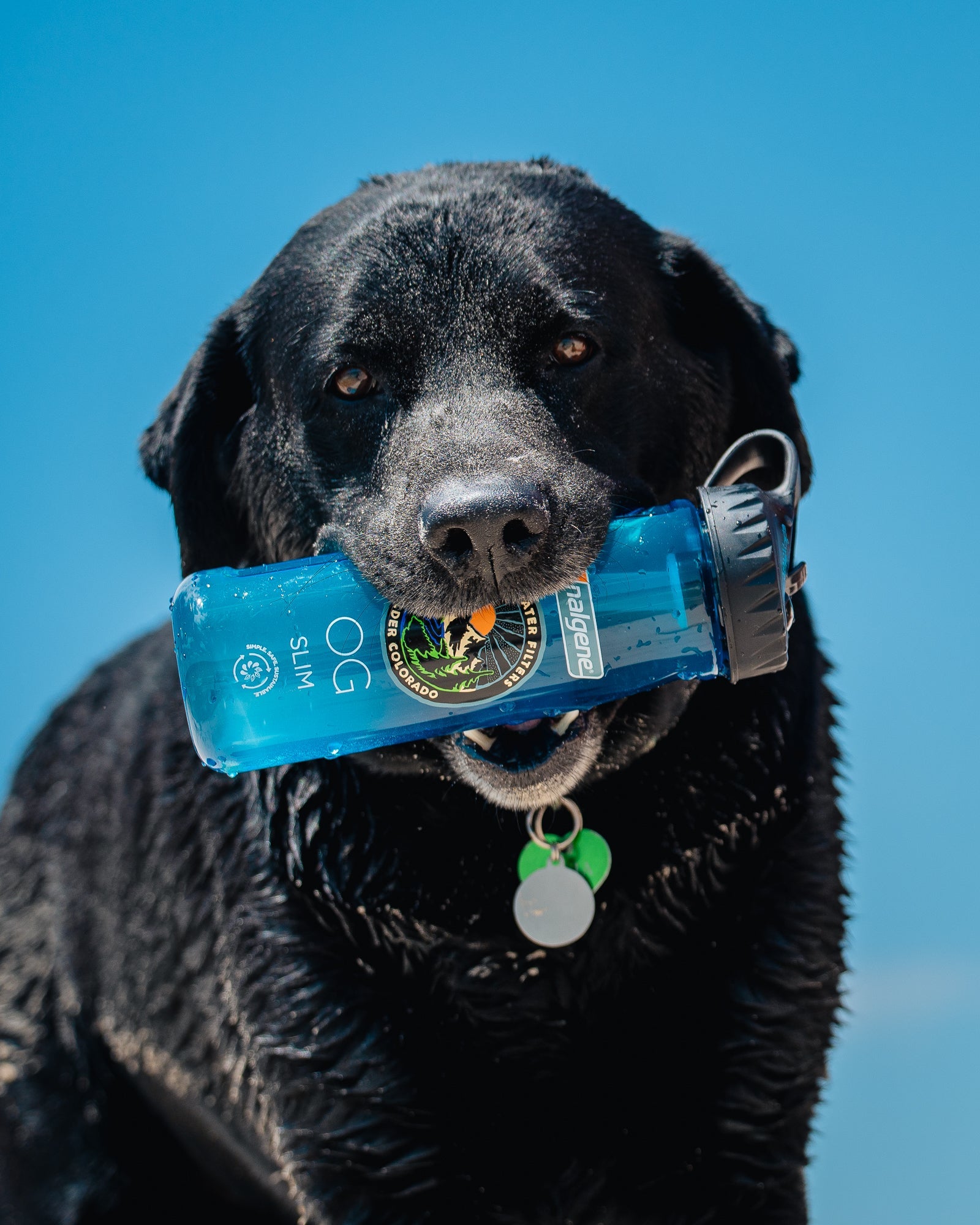 Nalgene OG Slim 24 oz Water Bottle - BPA-Free, Leak-Proof & Durable for Hiking, Gym & Outdoor Adventures