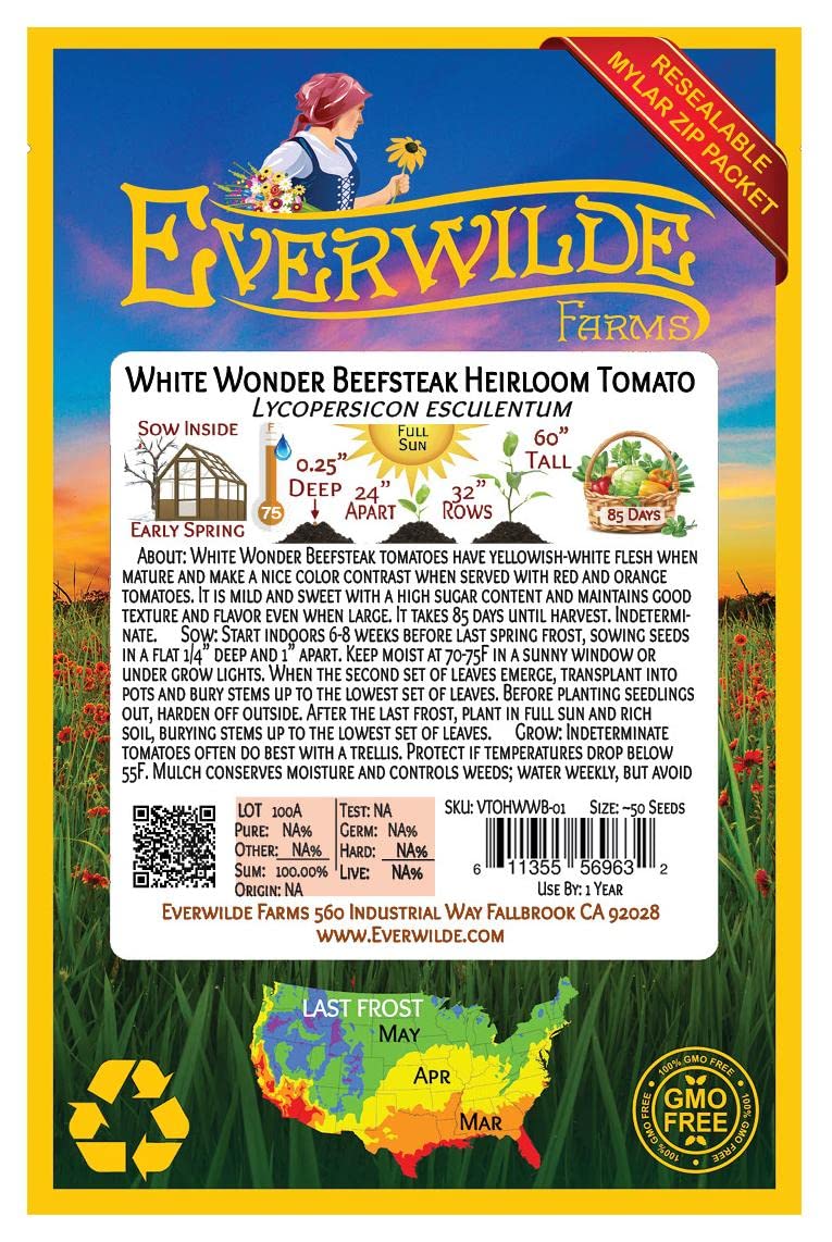 Everwilde Farms - 50 White Wonder Beefsteak Heirloom Tomato Seeds - Non-GMO, Open Pollinated - Gold Vault Seed Packet for Home Gardening, Organic Farming & Fresh Salads