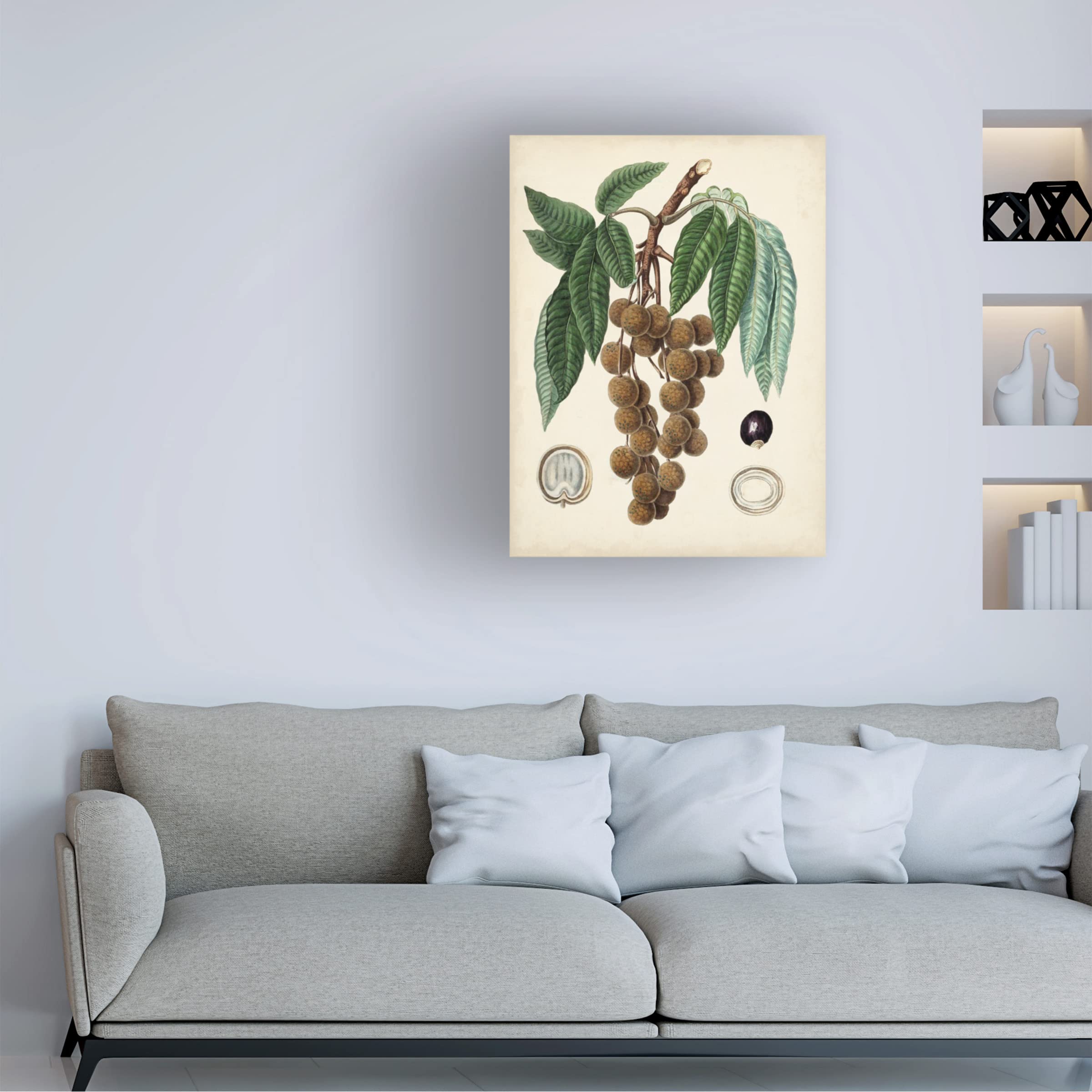 Trademark Fine Art 'Antique Foliage and Fruit III' Canvas Wall Art Print by Vision Studio - Perfect for Living Room, Bedroom & Office Decor