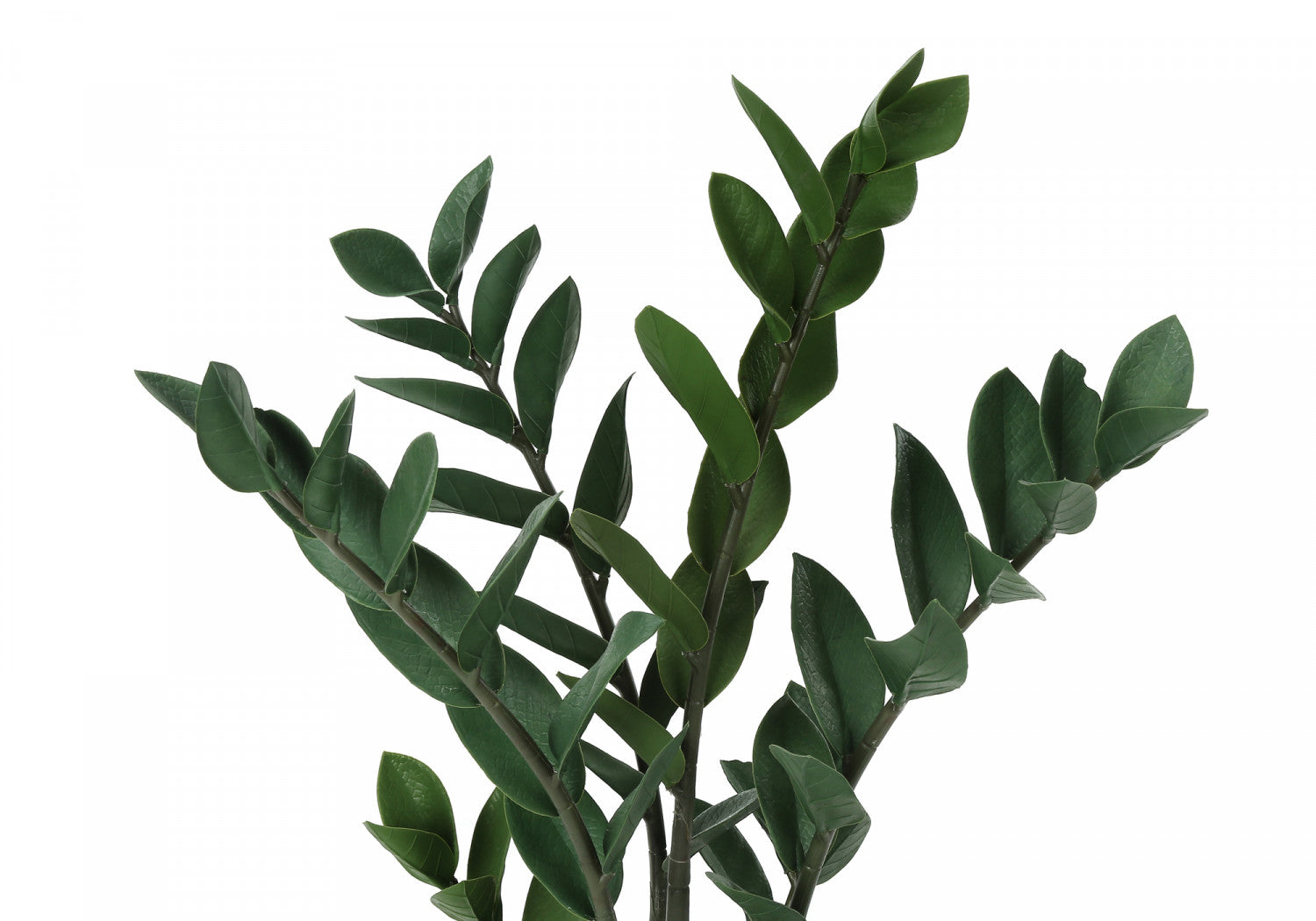 29 Inch ZZ Plant with 6 Inch Black Pot - Low Maintenance Indoor Houseplant for Home, Office, or Garden Decor