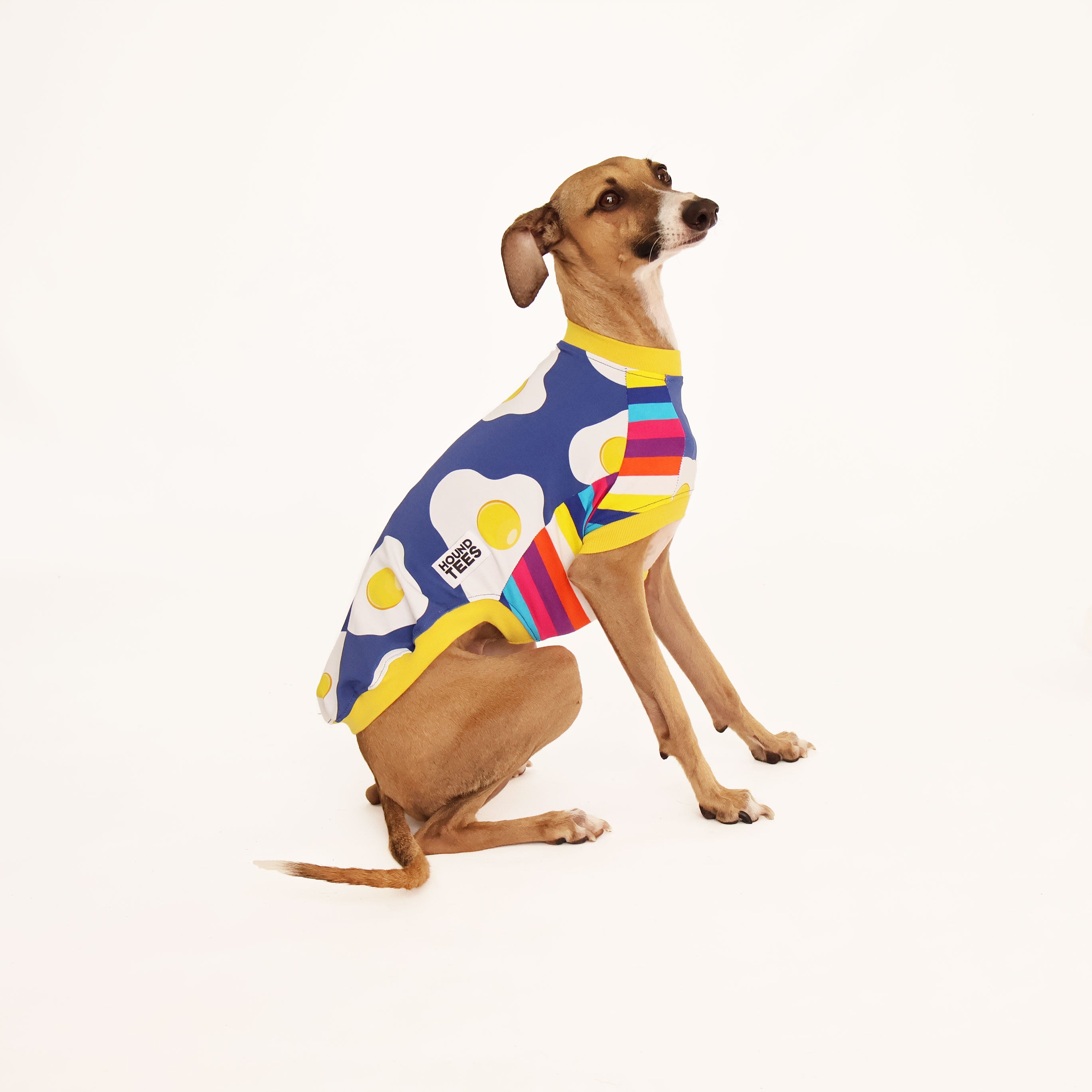 Eggy Italian Greyhound Sleeveless Hound T-Shirt - Comfortable Dog Lover Apparel for Casual Wear & Pet Lovers Gifts