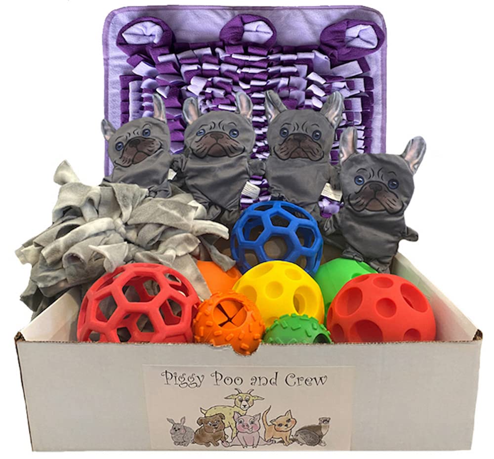 Premium Pig Box - 14-Piece Pet Gift Set with Rooting Mat, 8 Treat Balls, Snuffle Rattle Ball & Crinkle Toys (Dark/Light Purple) - Perfect for Enrichment, Training & Interactive Play for Small Pets