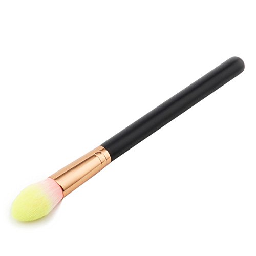 Professional Fan Brush for Makeup - Blush & Eyeshadow Tool Kit for Women - Perfect for Contouring & Blending