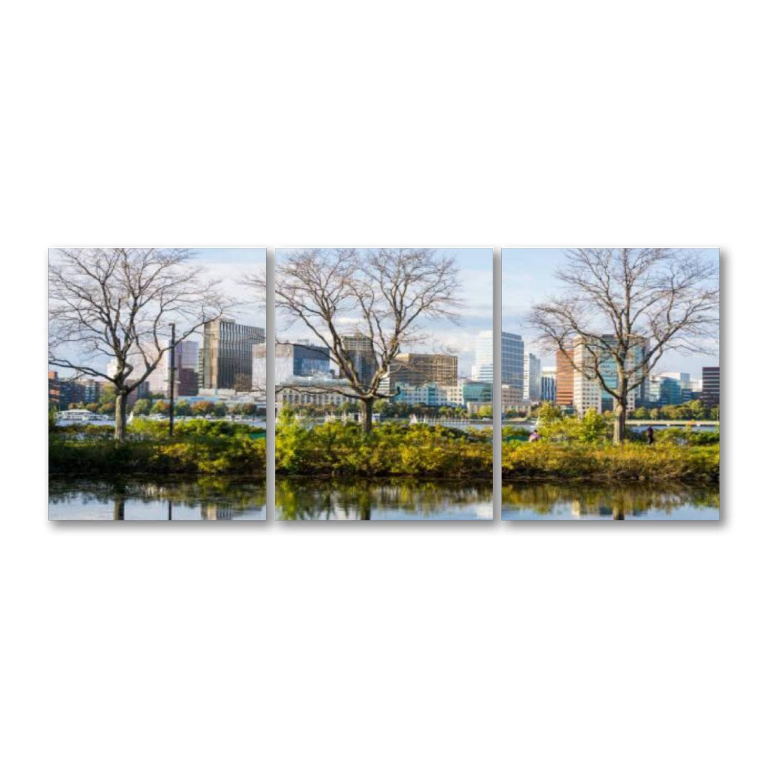 Charles River Esplanade Boston Canvas Wall Art - Ready to Hang Landscape Painting with Tree Reflections - Waterproof Poster Print for Living Room, Bedroom, Office & Bathroom Decor | Perfect Gift for Housewarming & Home Styling