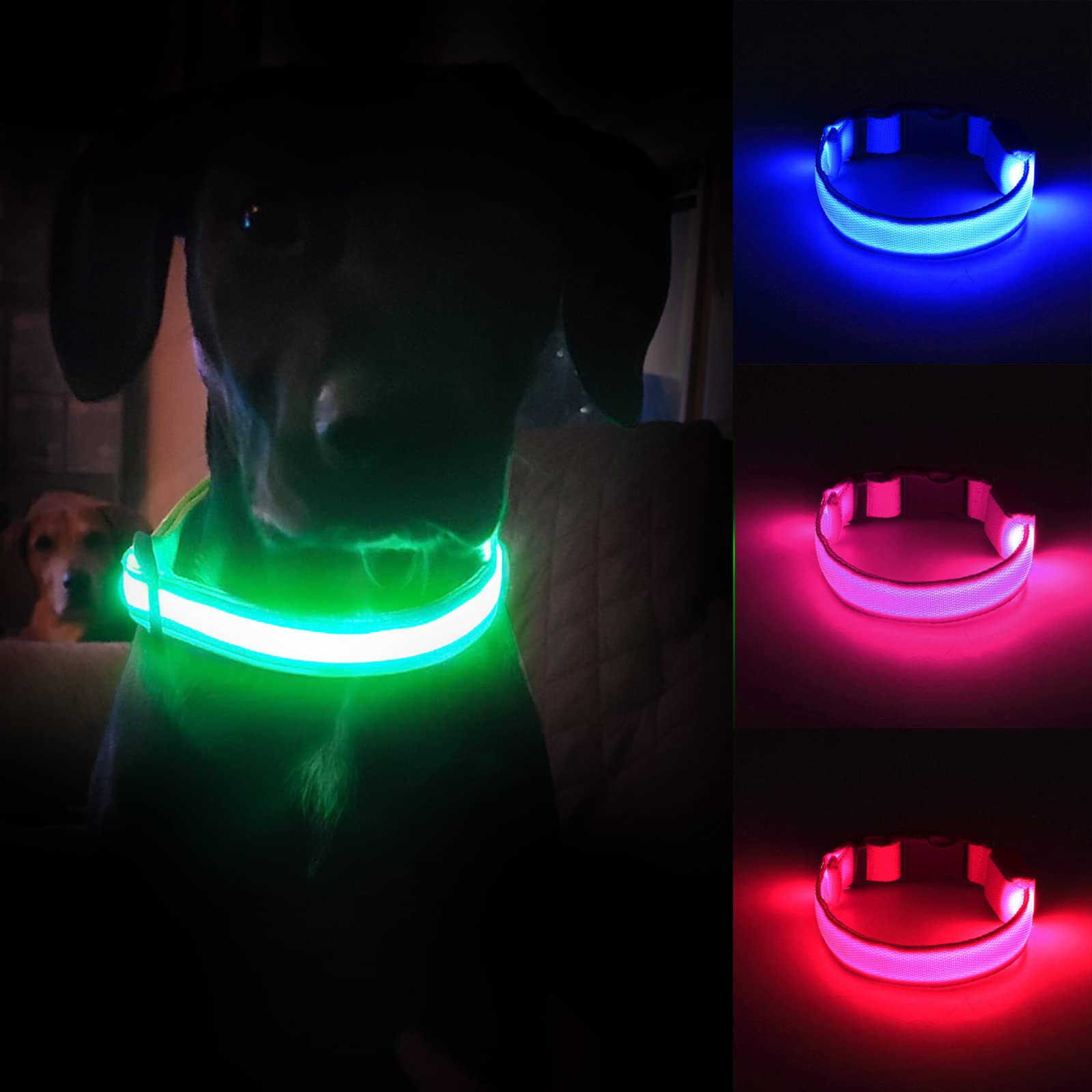 Omni Soulmate Personalized Reflective LED Dog Collar with Green Scarf Tie - Glow in The Dark Safety Collar for Small, Medium & Large Dogs - Perfect for Night Walks, Jogging & Outdoor Adventures
