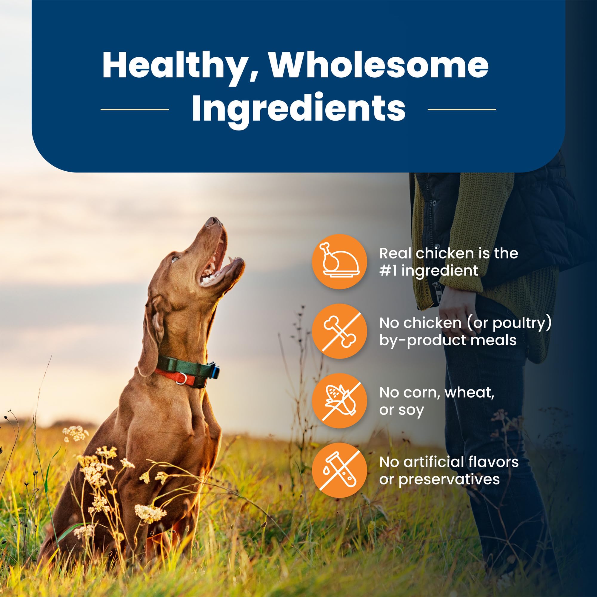 Blue Buffalo Life Protection Formula Large Breed Adult Dry Dog Food - Natural Chicken & Brown Rice Recipe for Joint Health & Lean Muscles (30lb Bag) | Ideal for Active Large Dogs & Senior Canine Care