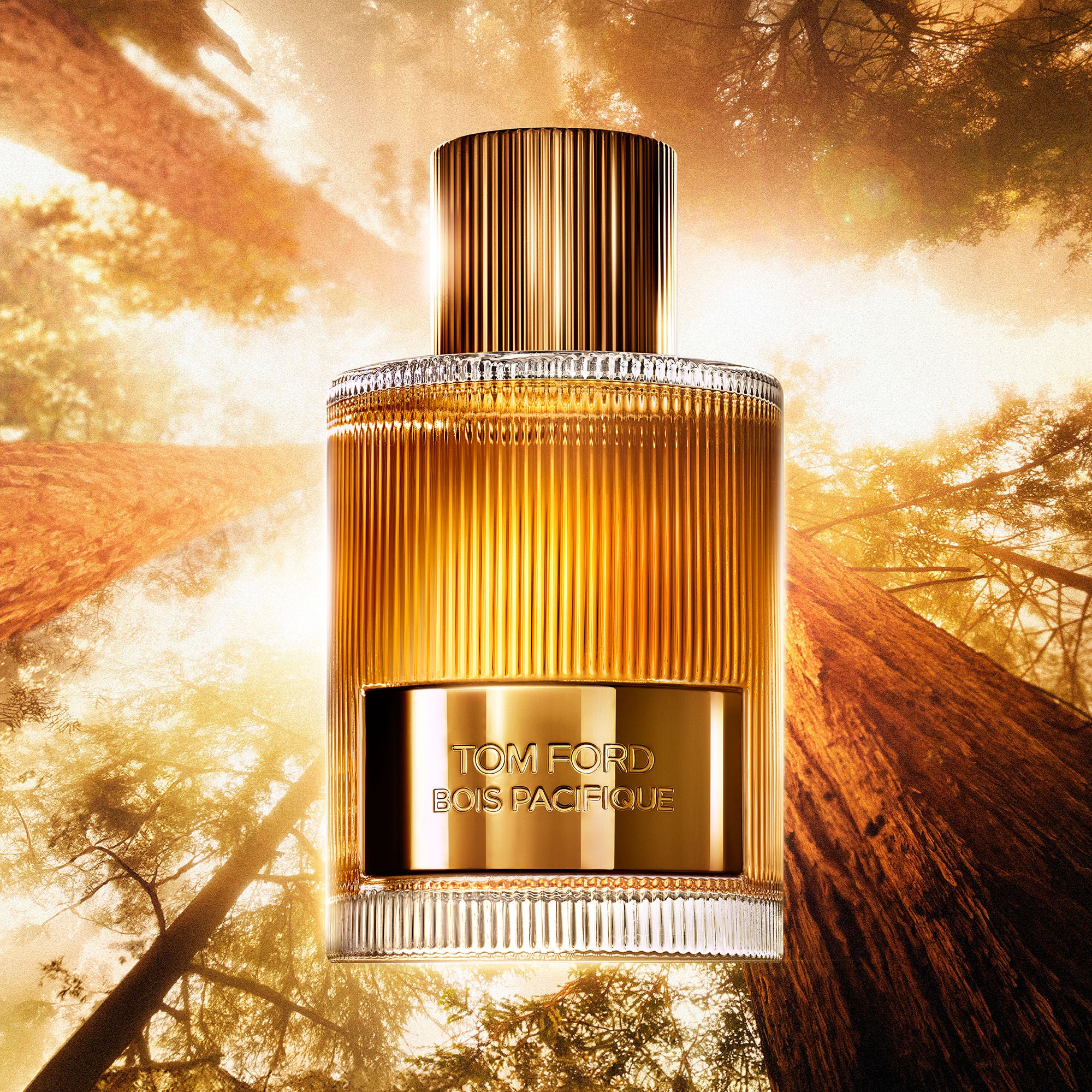 Bois Pacifique Eau De Parfum for Women - Long Lasting Luxury Fragrance with Woody & Aquatic Notes - Perfect for Date Night & Special Occasions