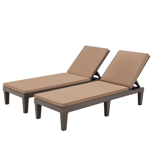 Brown With Cushion-pack of 2