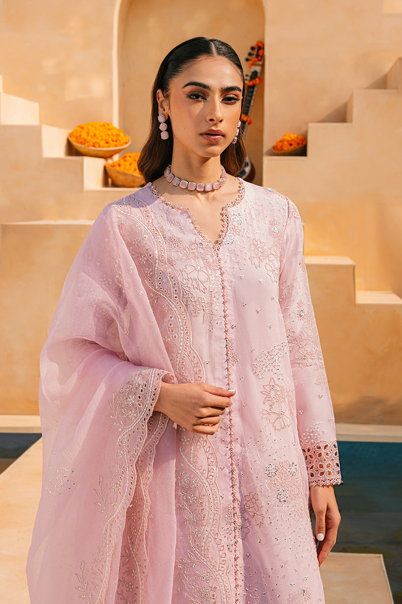 Elegant Muted Pink 2-Piece Organza Embroidered Suit Set for Women - Perfect for Weddings, Parties & Special Occasions