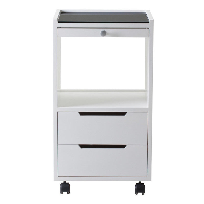 Earthlite Alpha 2 Portable Massage Table Trolley - Foldable & Lightweight for Professional Therapists | Perfect for Spa, Clinic & Home Use