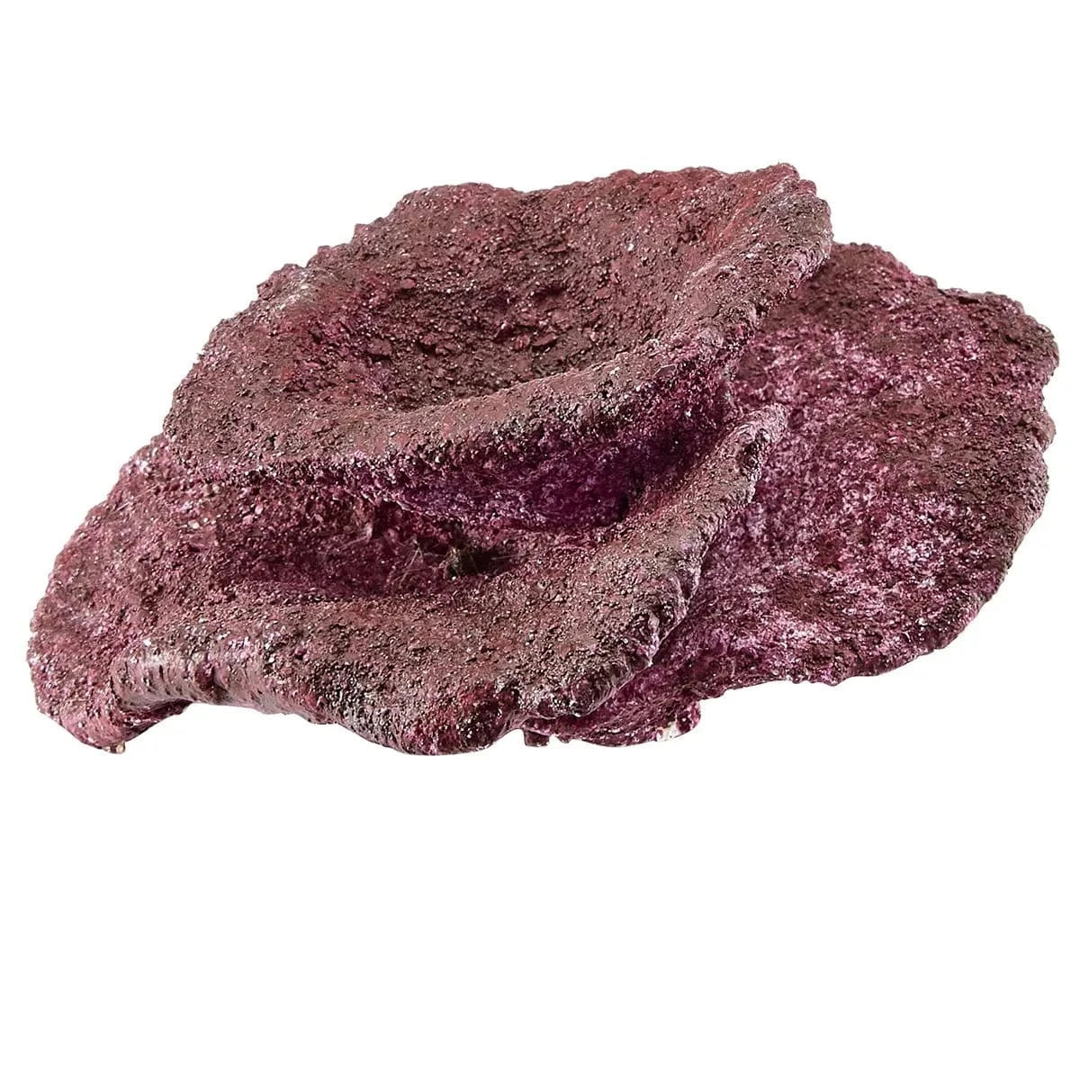 Reef Ready Box for 20-40 Gallon Aquariums - Real Reef Decor for Saltwater Fish Tanks | Perfect for Coral Placement & Marine Habitat Setup