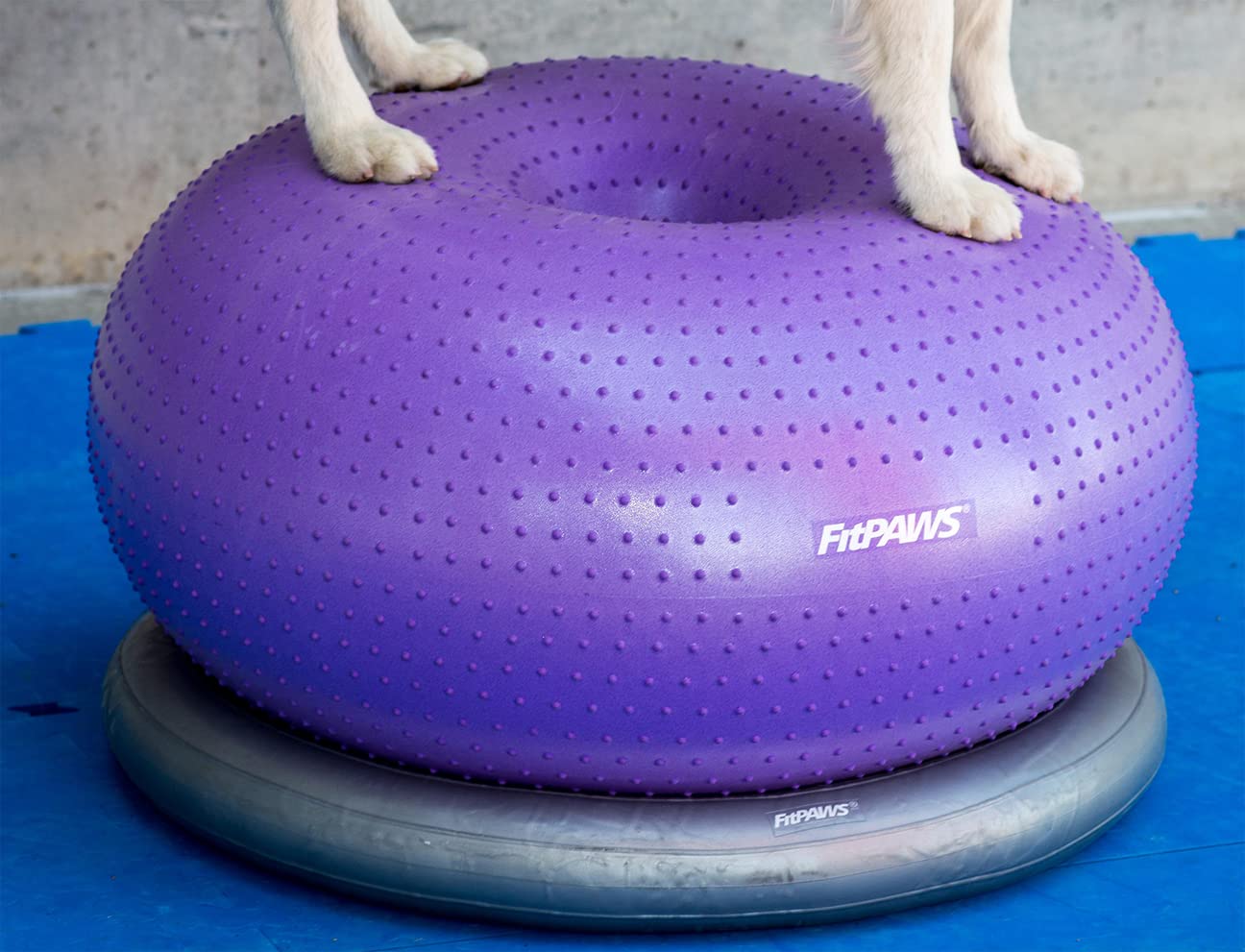 FitPaws® Circular Product Holder for FitPaws® TRAX™ Donut - Durable Dog Agility Equipment for Canine Fitness Training | Perfect for Home Gyms, Backyard Obstacle Courses & Professional Training Sessions