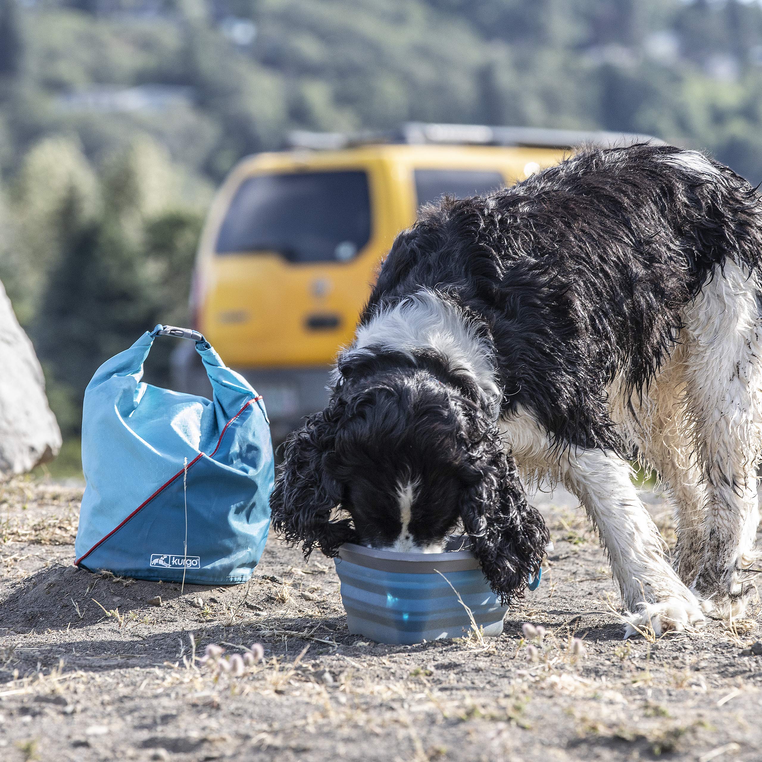 Kurgo Kibble Carrier for Dogs - Portable Dog Food Travel Bag & Storage Container | BPA Free, Foldable, Holds 5 lbs | Perfect for Camping, Hiking & Outdoor Adventures (Coastal Blue)