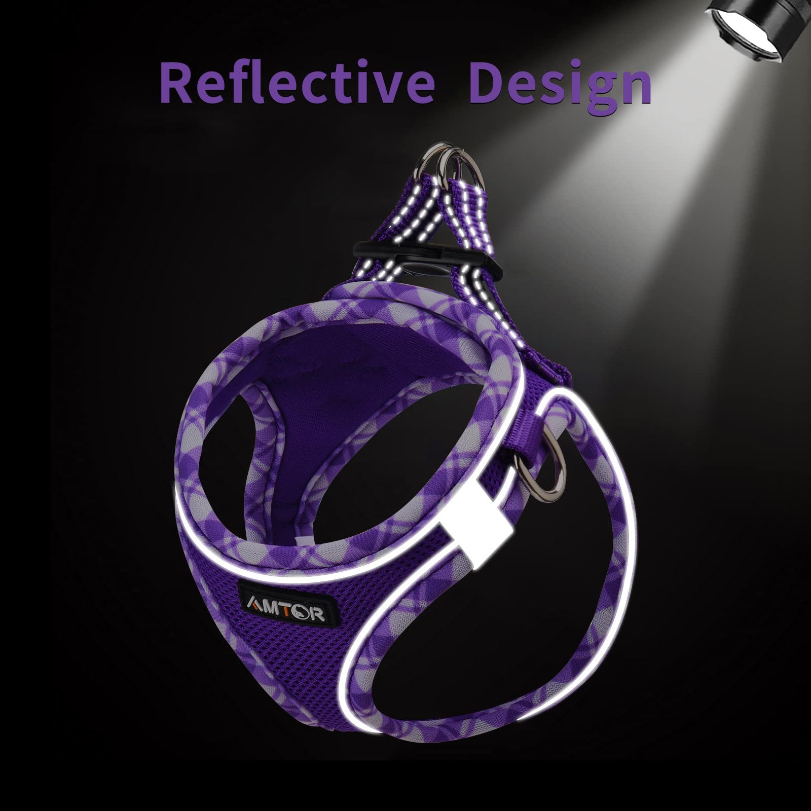 AMTOR No-Pull Small Dog Harness with Leash Set - Escape Proof Step-in Vest for Puppy Training & Walking | Reflective Soft XS/S/M/L Sizes for Safety | Perfect for Outdoor Adventures, Night Walks & Pet Travel (Purple, Large)
