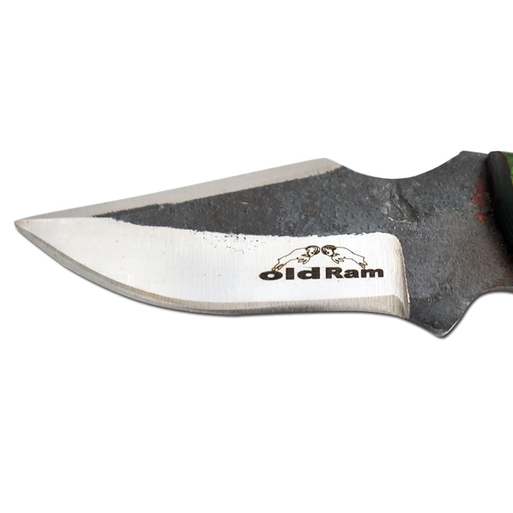 Premium Full Tang Hunting Knife - High Carbon Steel Blade with Wood Handle & Leather Sheath | Outdoor Survival, Camping, Bushcraft, Hunting Gear