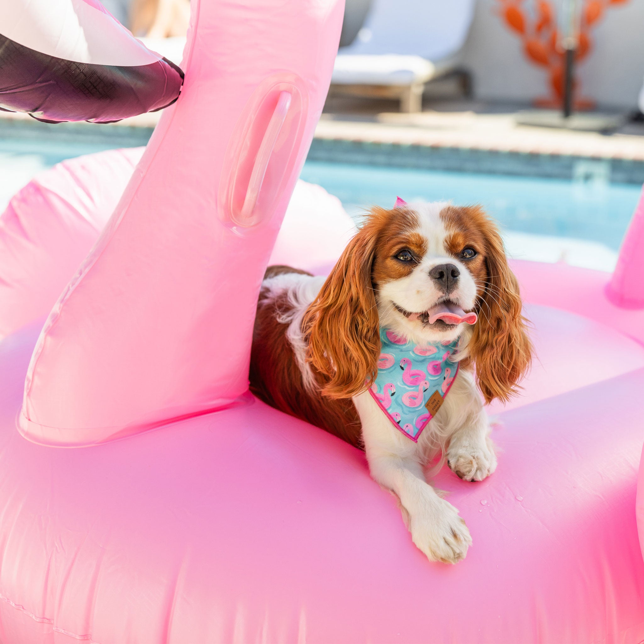 The Foggy Dog Bandana - Flamingo Floaties Pattern - Stylish & Durable Pet Bandana for Dogs - Perfect for Beach, Pool, and Summer Outings