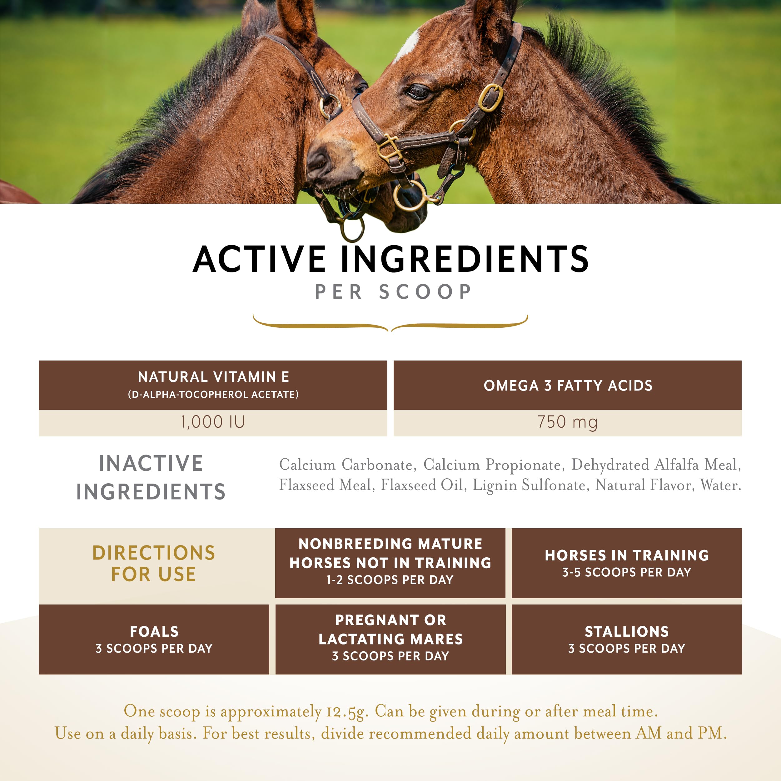 Equithrive Vitamin E Pellets for Horses with Omega 3 & Antioxidant Support - 10 lb Equine Supplement for Muscle Recovery & Immune Health | Perfect for Performance Horses & Senior Equine Care
