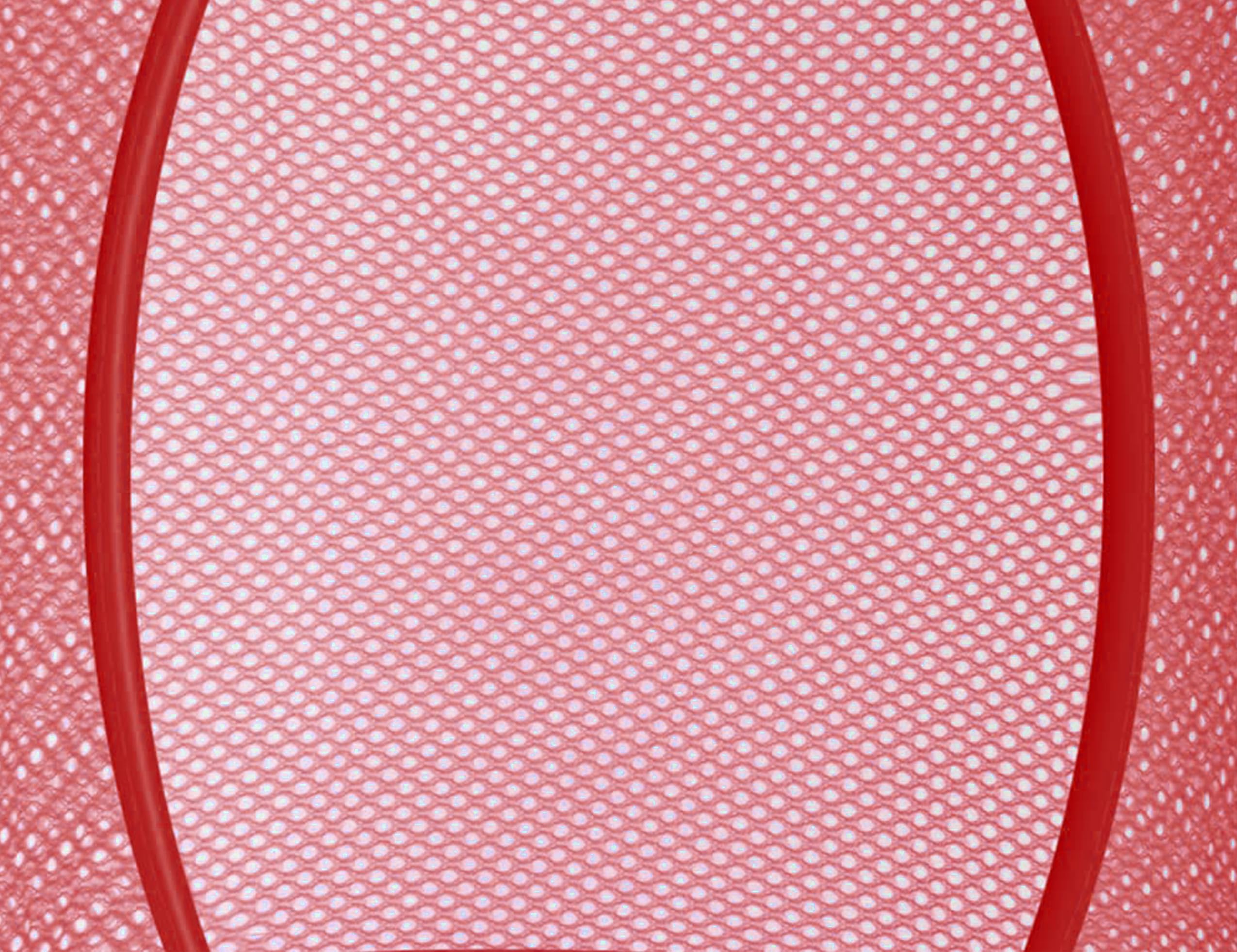Libeder Foldable Mesh Hanging Storage Organizer - 5 Compartment Toy Net Basket for Kids Room & Bathroom (2 Pack, Red) | Space Saving Stuffed Animal & Clothes Storage Solution for Home Organization