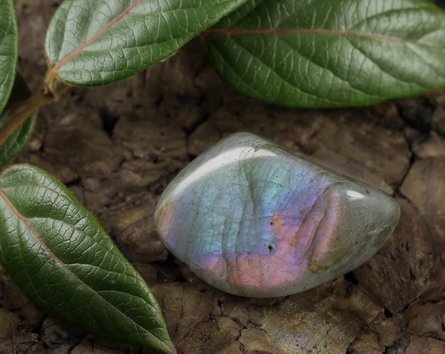 Rainbow Blue Labradorite Tumbled Stones - Natural Healing Crystals for Meditation, Energy Work & Spiritual Gifts (E0210) | Perfect for Reiki, Chakra Balancing & Home Decor