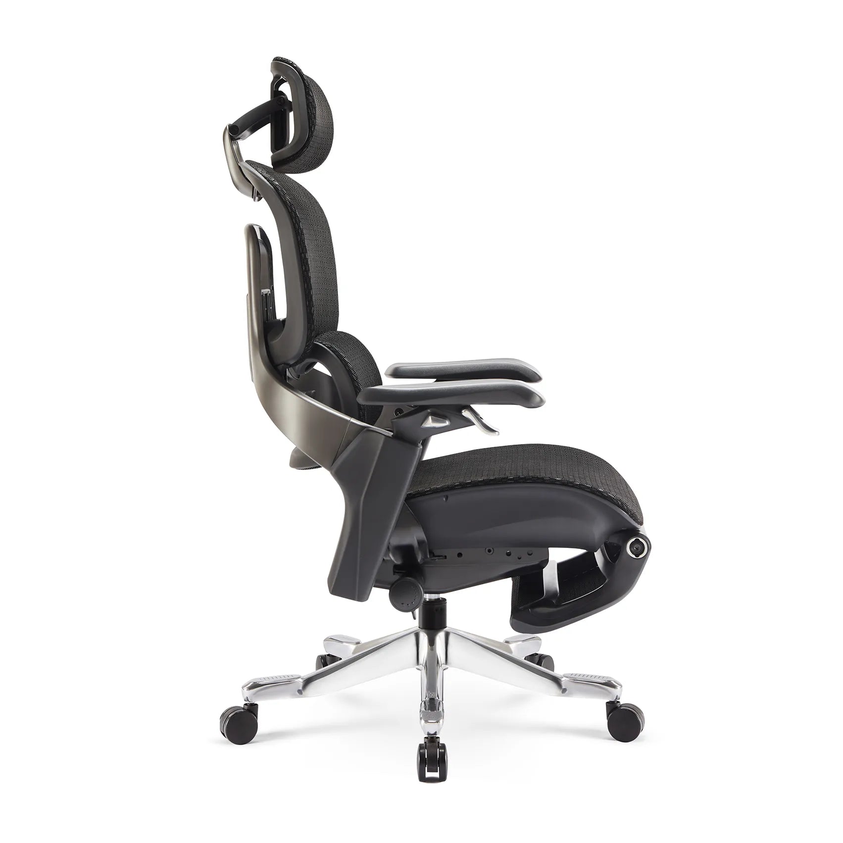 Elli Ergonomic Office Chair - Adjustable Lumbar Support & Breathable Mesh Back - Home & Office Desk Chair for Long Hours Sitting - Perfect for Work, Gaming & Study