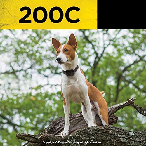 Waterproof Dog Training Collar - Dogtra 200C Remote E-Collar with ½-Mile Range & One-Handed Operation | Includes Teacher's Pet Training Kit, Clicker, Stainless Steel Leash & Hunting Dummy | Perfect for Obedience Training, Hunting & Outdoor Adventures