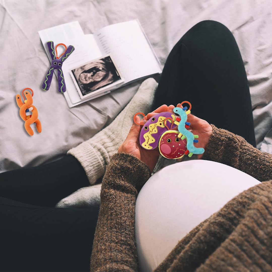 GIANTmicrobes Genetics Themed Gift Box - DNA Plush Keychain & Science-Themed Gifts for Genetic Counselors, Genealogists & Teachers | Perfect for Science Classrooms, DNA Enthusiasts & Ancestry Lovers