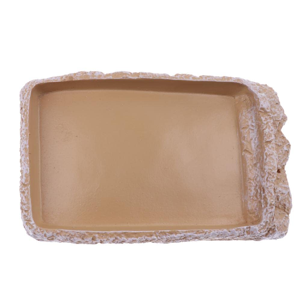 UJEAVETTE Reptile Feeding Bowl - Creamy White NS-14 for Food & Water - Perfect for Terrariums