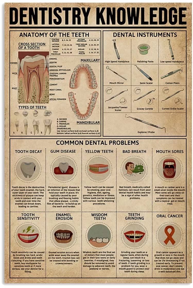 Vintage Dentistry Knowledge Canvas Print - Dental Clinic Office Wall Decor, Matte Poster Frameless Gift 12x18 Inch - Perfect for Medical Classroom, Dental Office & Home Decor