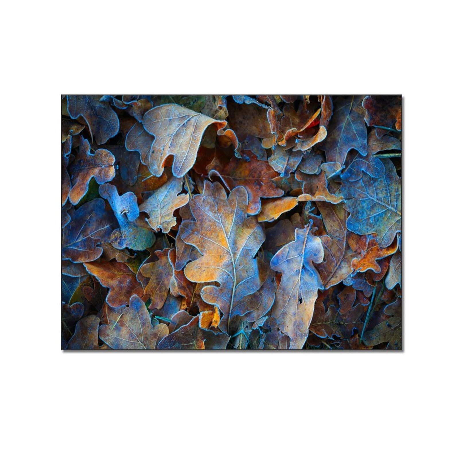 Frozen Oak Leaf Abstract Nature Canvas Wall Art - 16x20 Inch (40x51cm) Unframed Botanical Poster for Living Room, Bedroom & Office Decor | Modern Home & Workspace Aesthetics