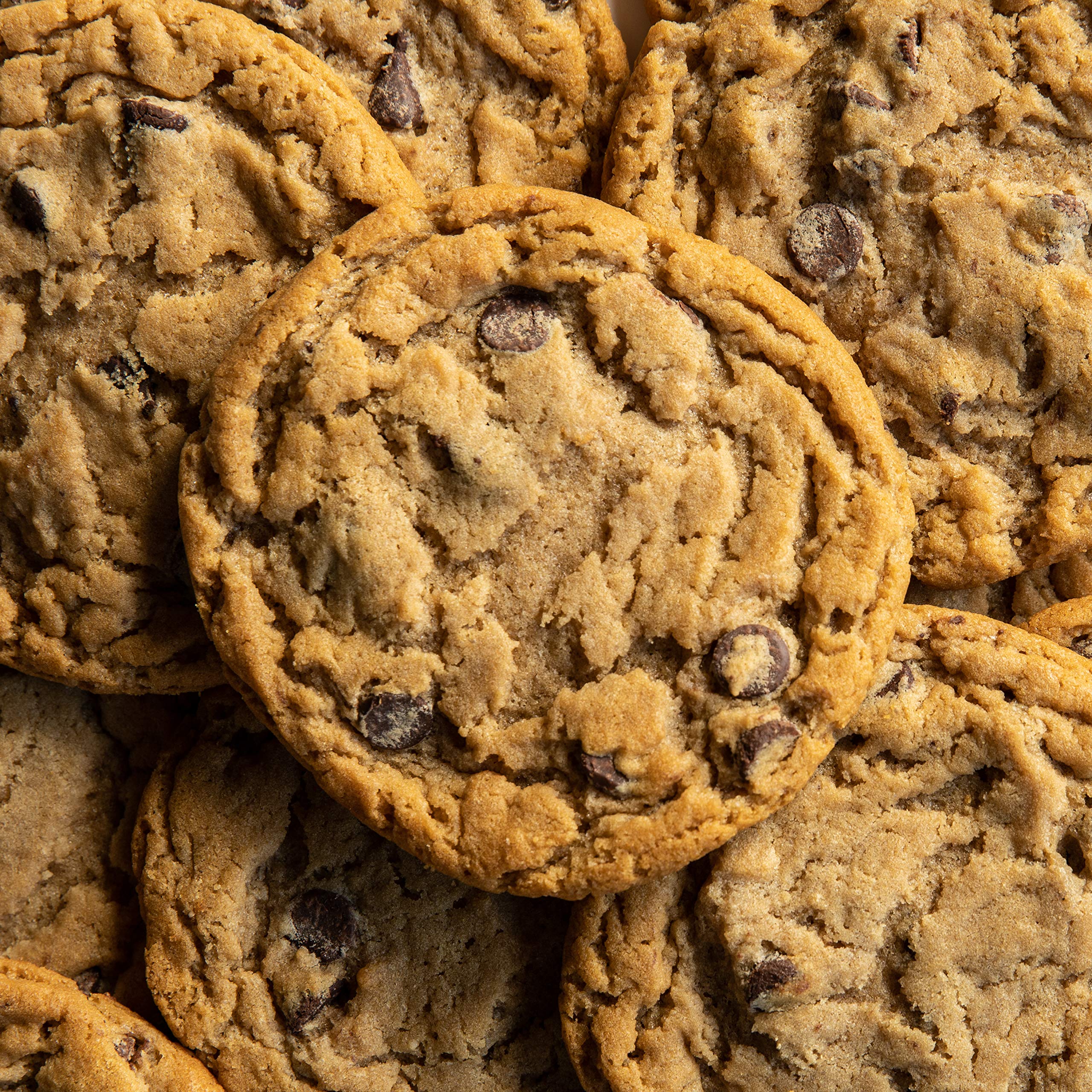 Fresh Baked Chocolate Chip Cookies - 12 Pack | Handmade Daily, Never Frozen | Perfect for Birthdays, Graduations, Parties & Gifts | Great American Cookies | Home, Office & Holiday Treats