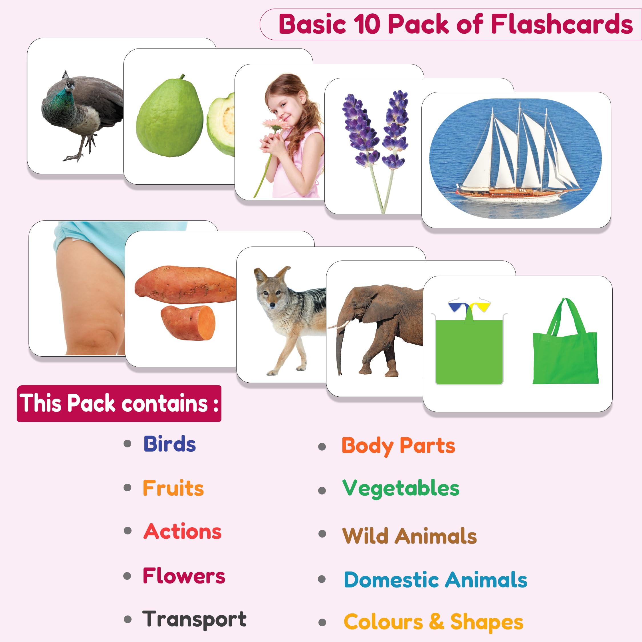 Montessori Flash Cards for Toddlers 1-4 Years - 240 Double-Sided Educational Cards (480 Sides) | Preschool & Kindergarten Learning Activities | Perfect Gift for Babies & Kids | Ideal for Early Childhood Development & Home Schooling
